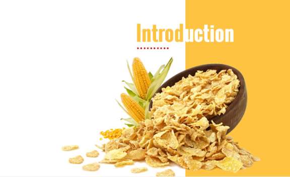 Introduction - VKL Spices
