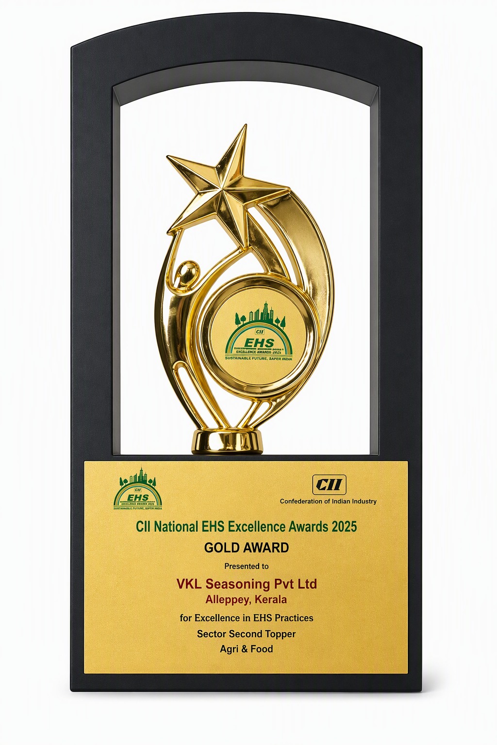 CII National EHS Excellence Awards 2025 – Gold Award Recognition